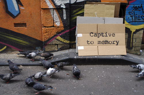 captive1.jpg