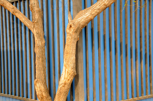 blue-fence1.jpg